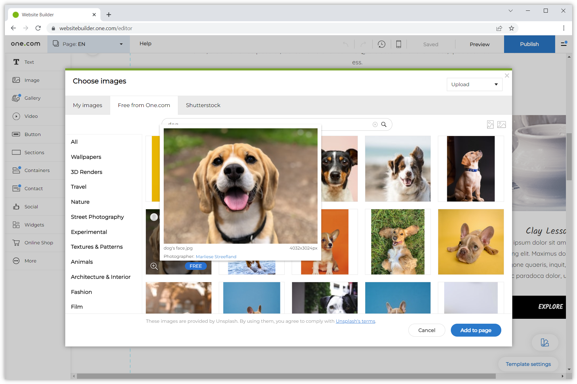 Foto stock gratuite da one.com in Website Builder – Supporto | one.com