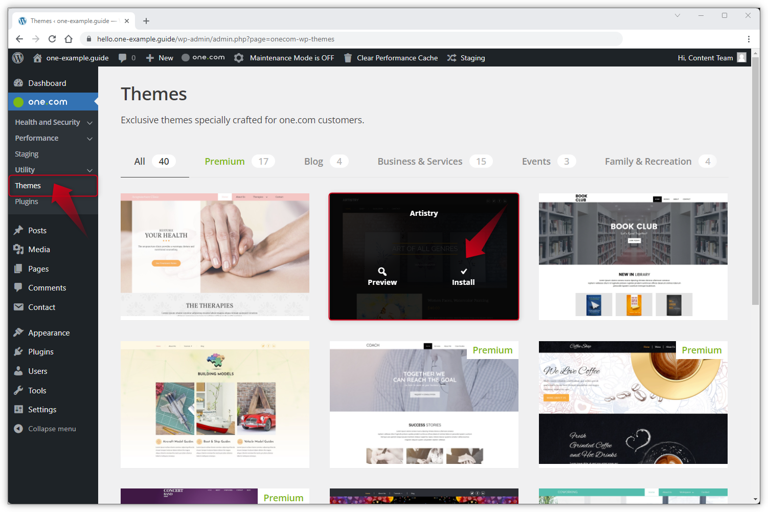 De WP Admin-screenshot toont de one.com-thema's.