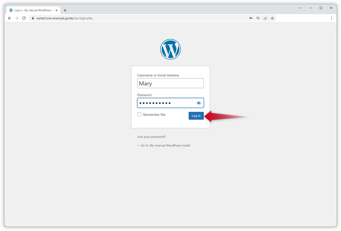 Der Screenshot zeigt das Anmeldefenster. Ein roter Pfeil zeigt auf den Button "Log in".
