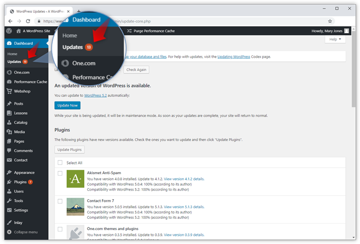Screenshot della pagina Aggiornamenti in WP Admin.