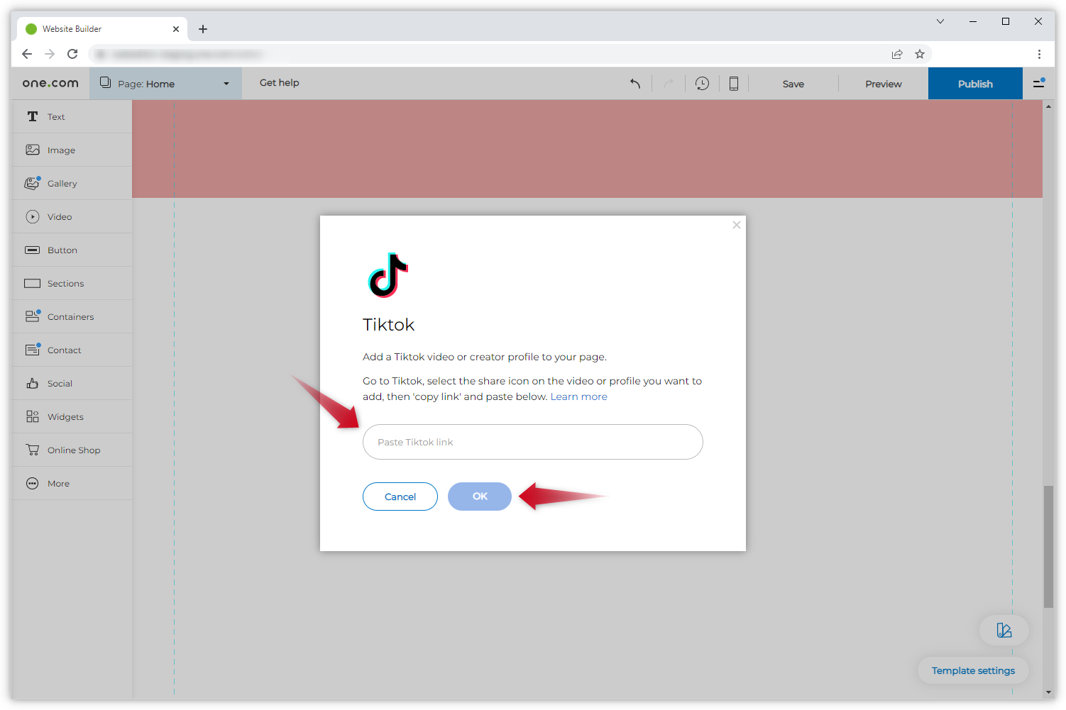 Screenshot des TikTok-Popup-Fensters mit zwei roten Pfeilen. Einer zeigt auf das Feld, in das Sie den Link hinzufügen können, und einer zeigt auf den "OK"-Button.