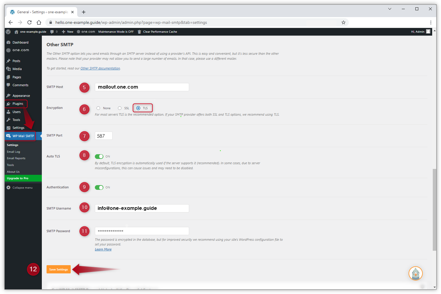Screenshot der SMTP-Einstellungen im Plugin.