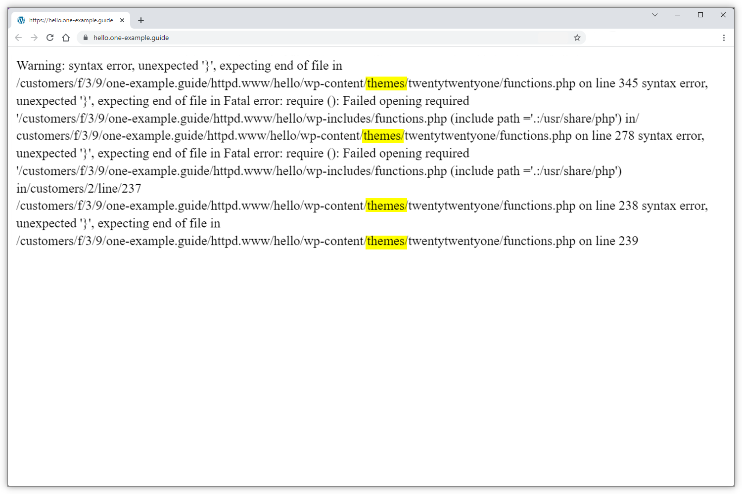 Capture d'écran montrant les erreurs causées par les thèmes.