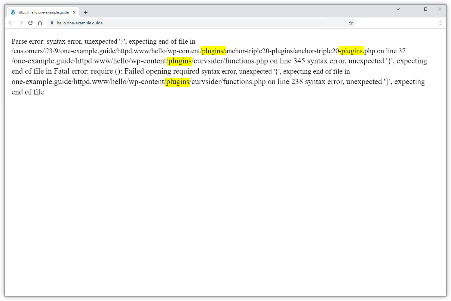 Capture d'écran montrant les erreurs causées par les plugins.