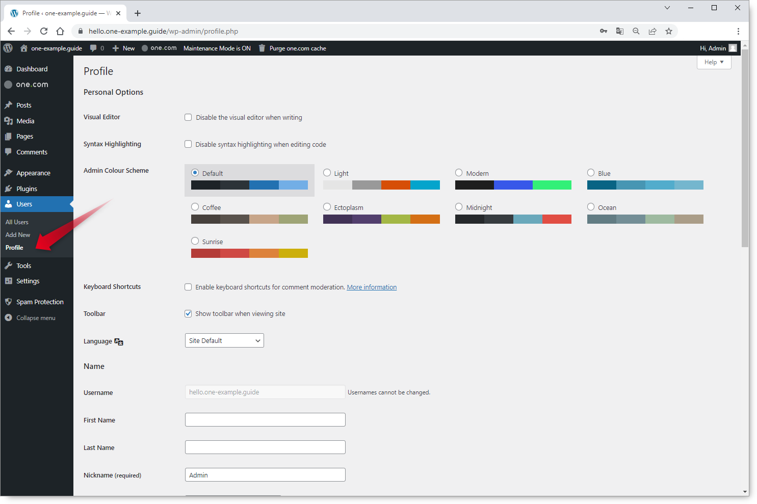 wp-admin_users_profile-settings.png