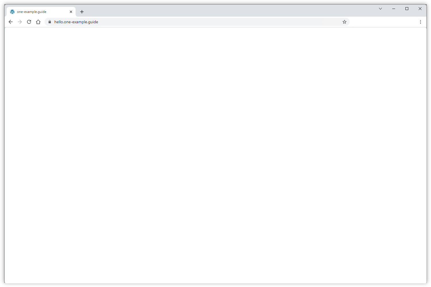 Screenshot del problema della pagina bianca.