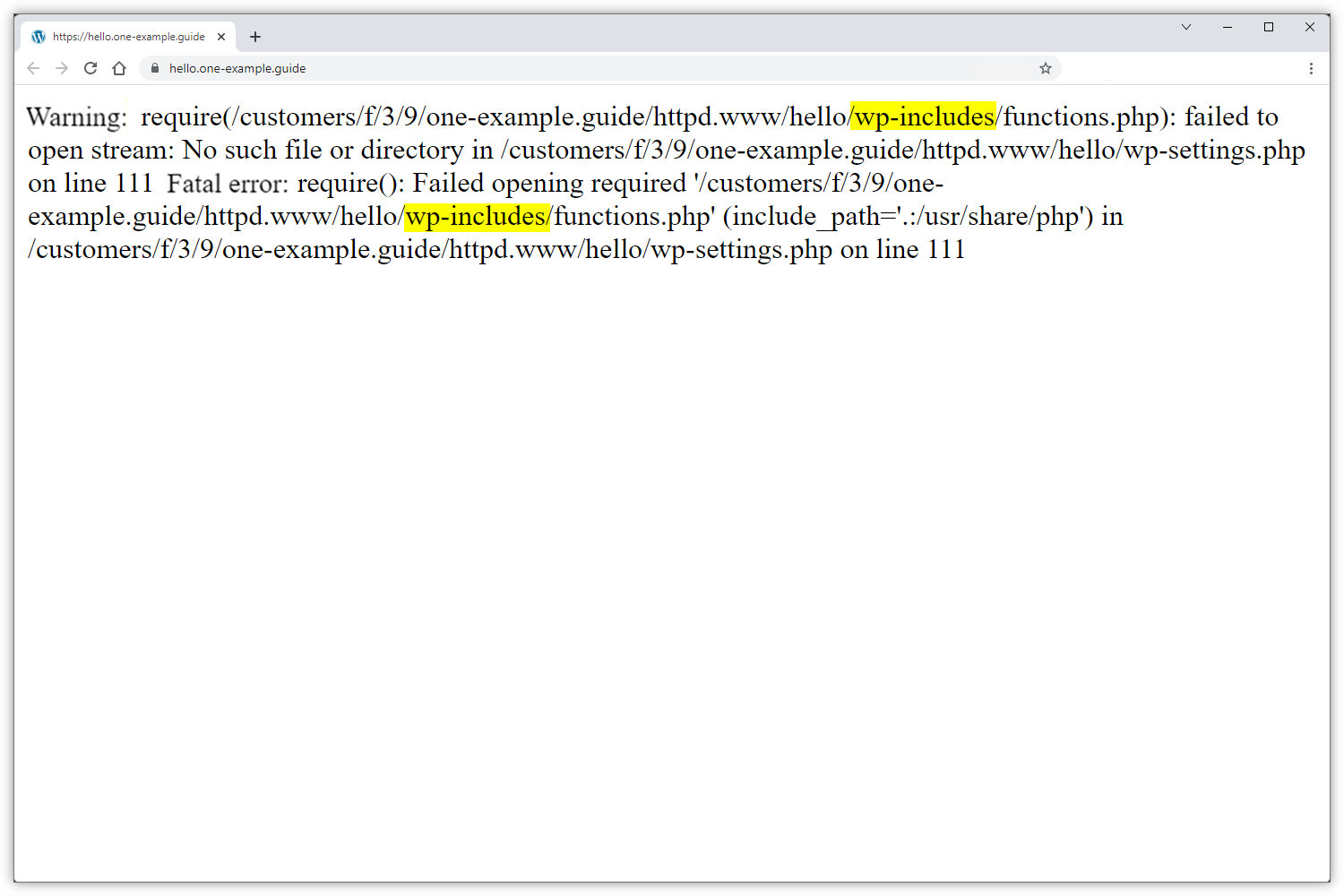Skärmdump som visar fel som orsakas av WordPress kärnfiler.