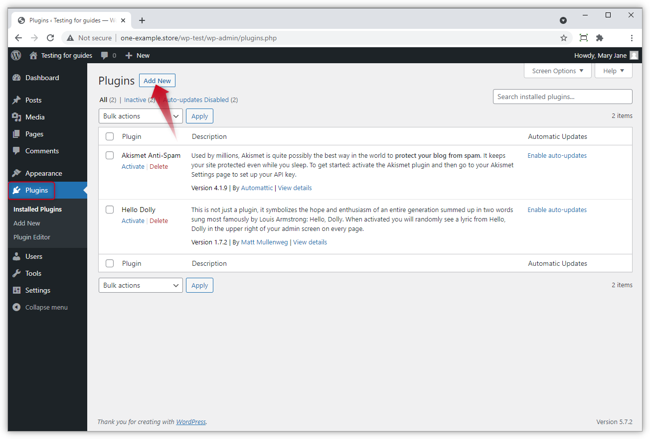 WP-admin-add-plugin.png