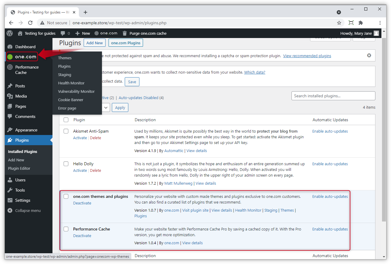 WP-admin-onecom-plugins-themes.png