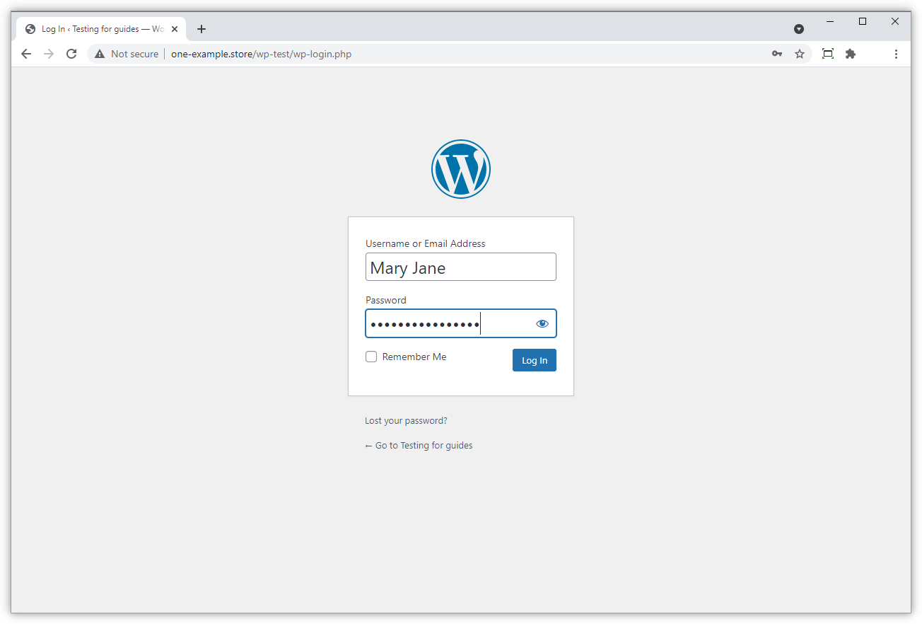 WP-login-manual.png