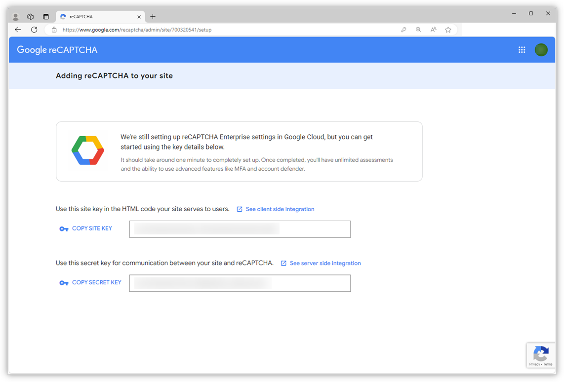 Skjermbilde av Google reCAPTCHA-nettsiden som viser API-nøkler, som gis etter registrering.