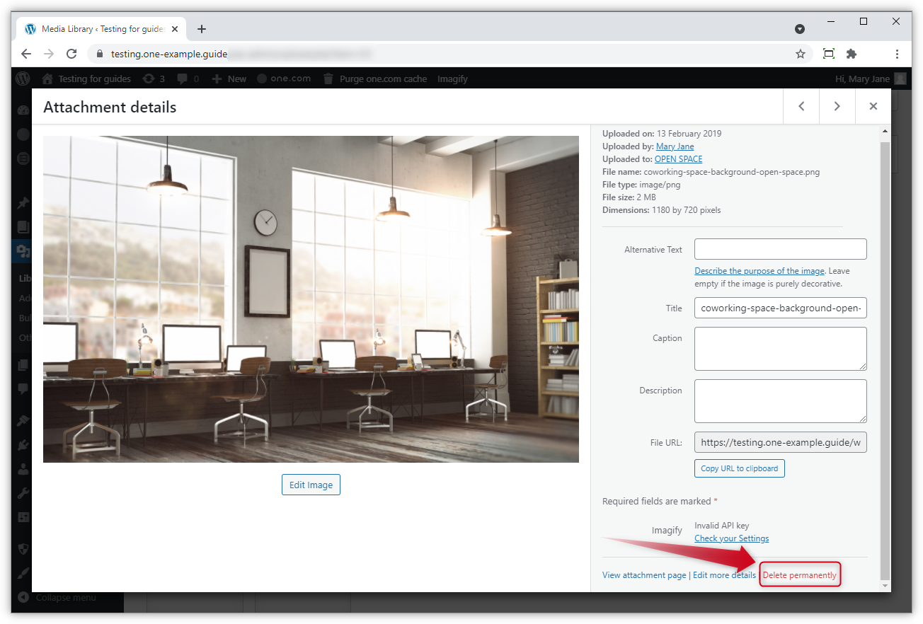 Screenshot di un'immagine nella Libreria Media di WordPress.