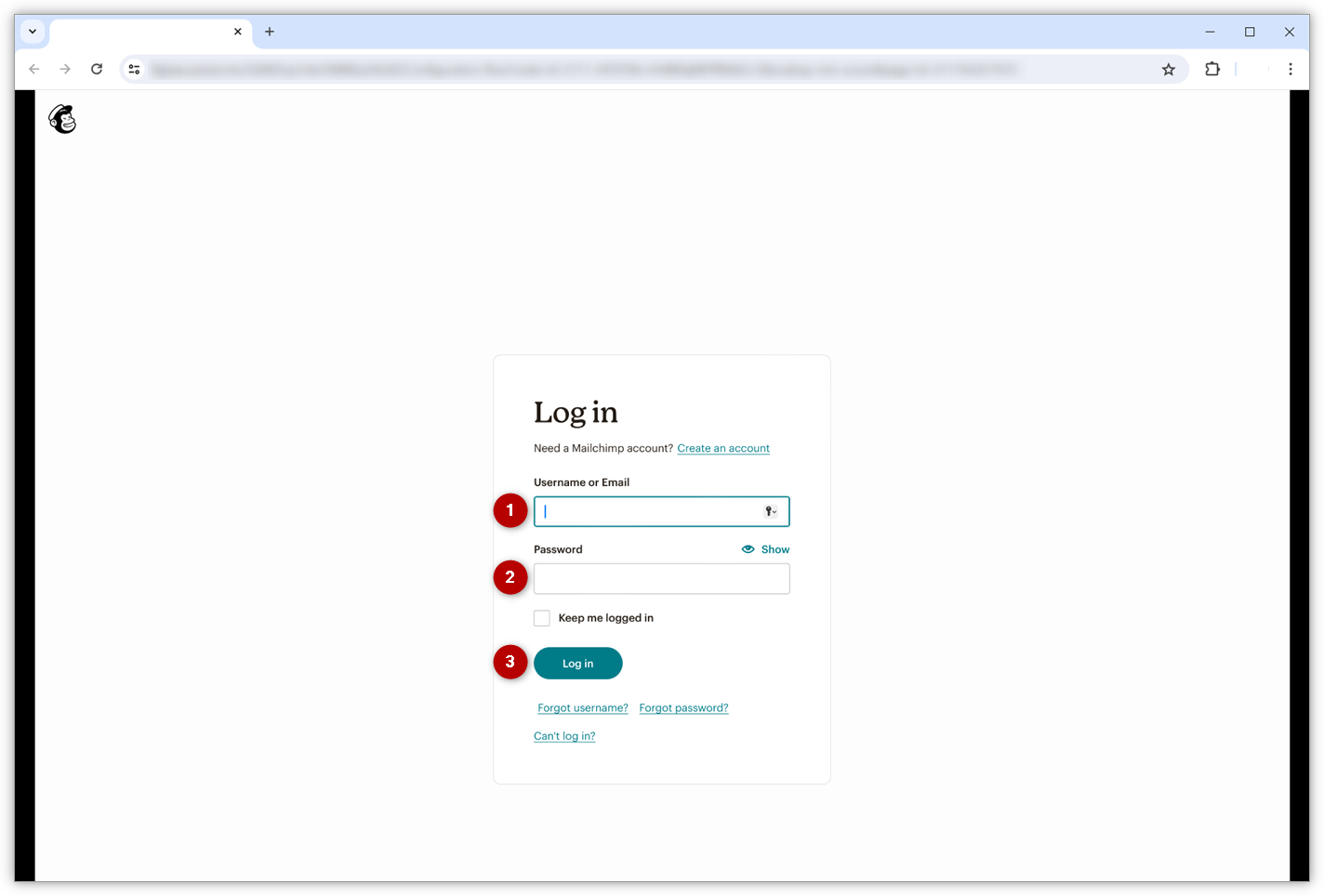 mailchimp-2.png