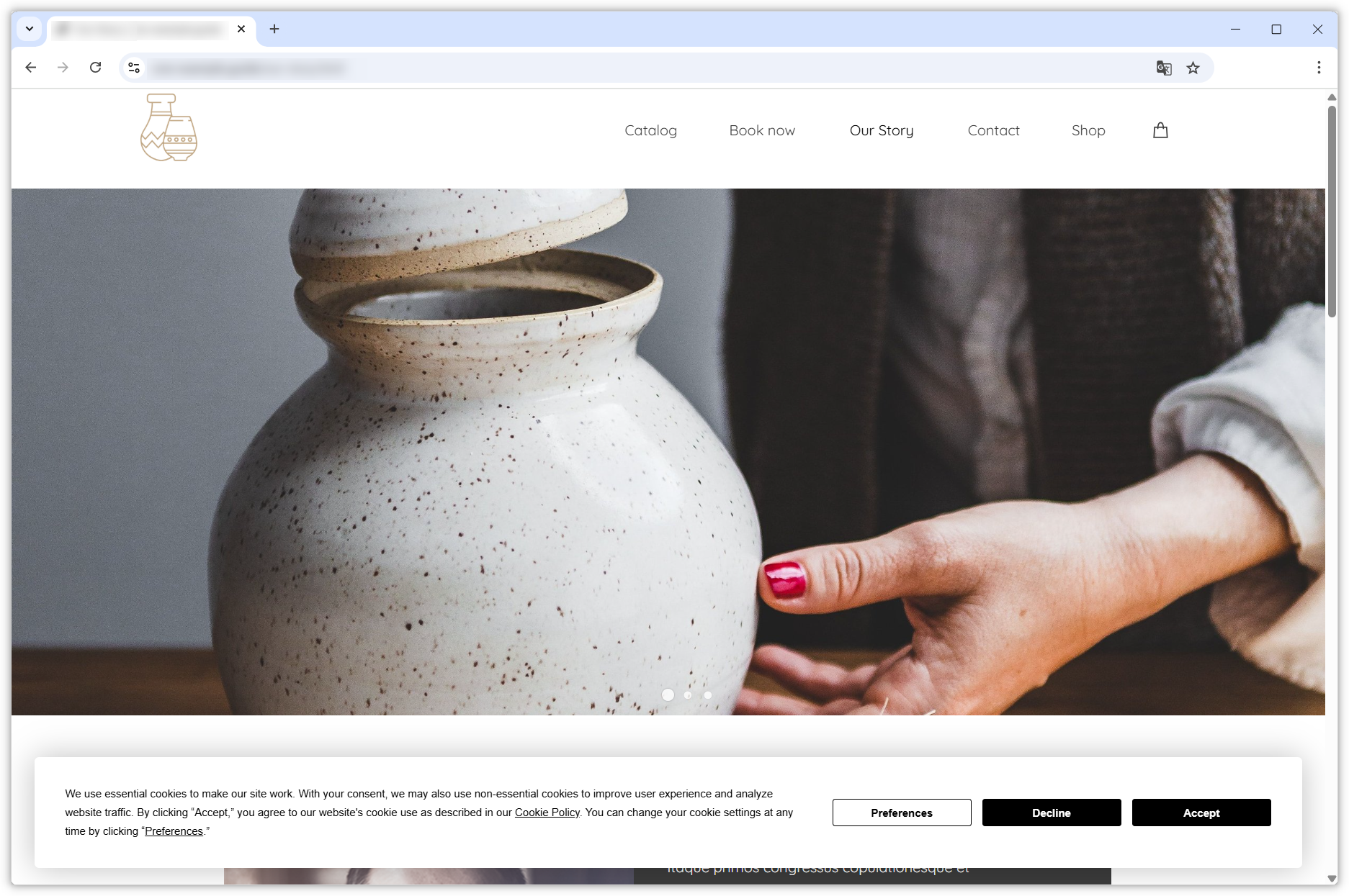 Screenshot of the published website. The consent banner with the Preferences, Decline and Accept buttons can be seen at the bottom of the screen.