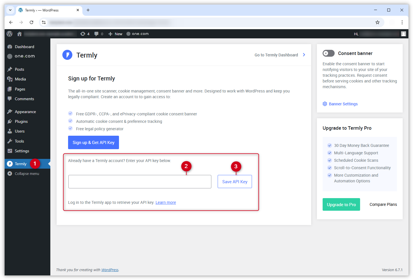Screenshot del plugin Termly in WP Admin che mostra dove deve essere inserita la chiave API.