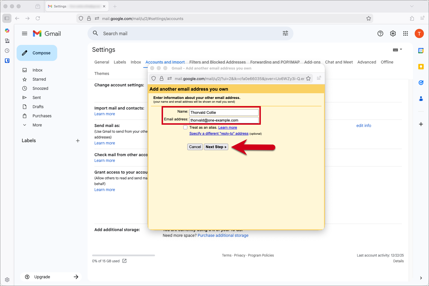 Screenshot des Popup-Fensters mit einem roten Rahmen, der das Feld Name und E-Mail-Adresse hervorhebt, und einem roten Pfeil, der auf «Nächster Schritt» verweist.