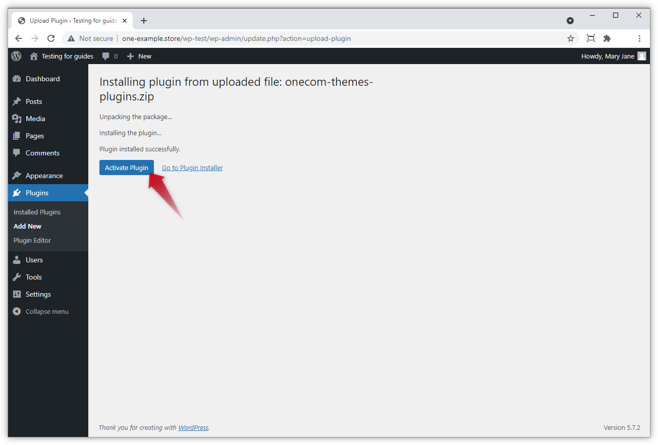Skærmbillede af plugininstallationen i WP Admin.