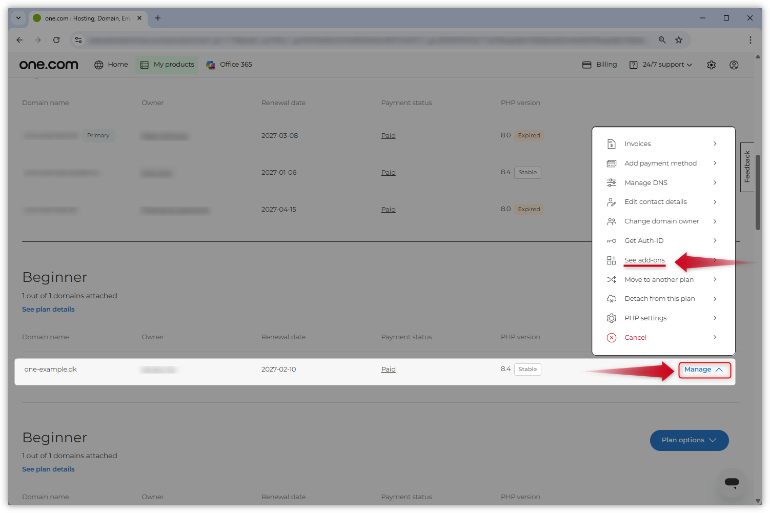Captura de ecrã da página de resumo das subscrições. Uma seta vermelha aponta para o botão «Gerir» ao lado de um domínio e outra seta vermelha aponta para a opção «Ver complementos» no menu aberto.