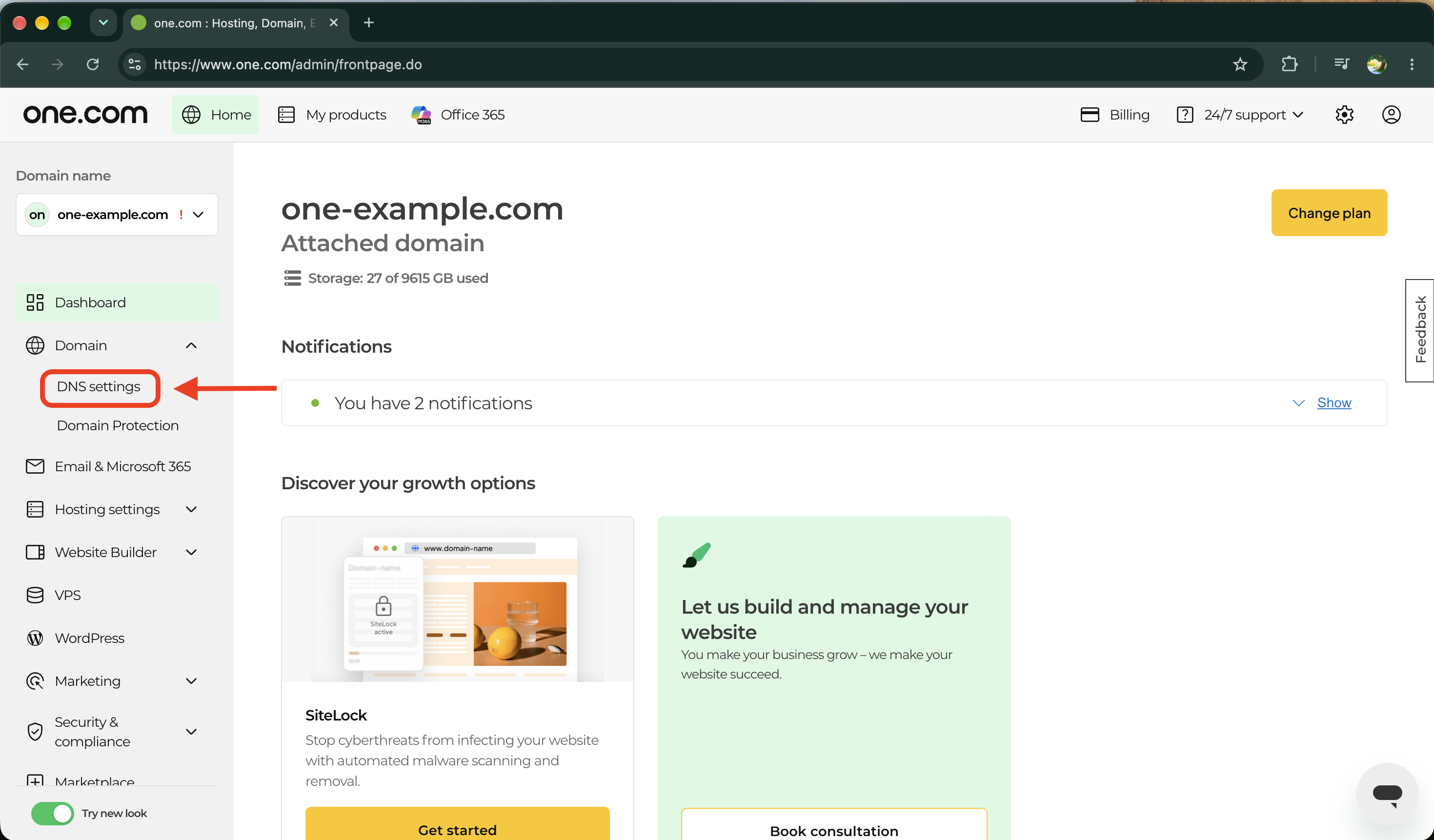 Configuración de DNS en el menú desplegable Dominio