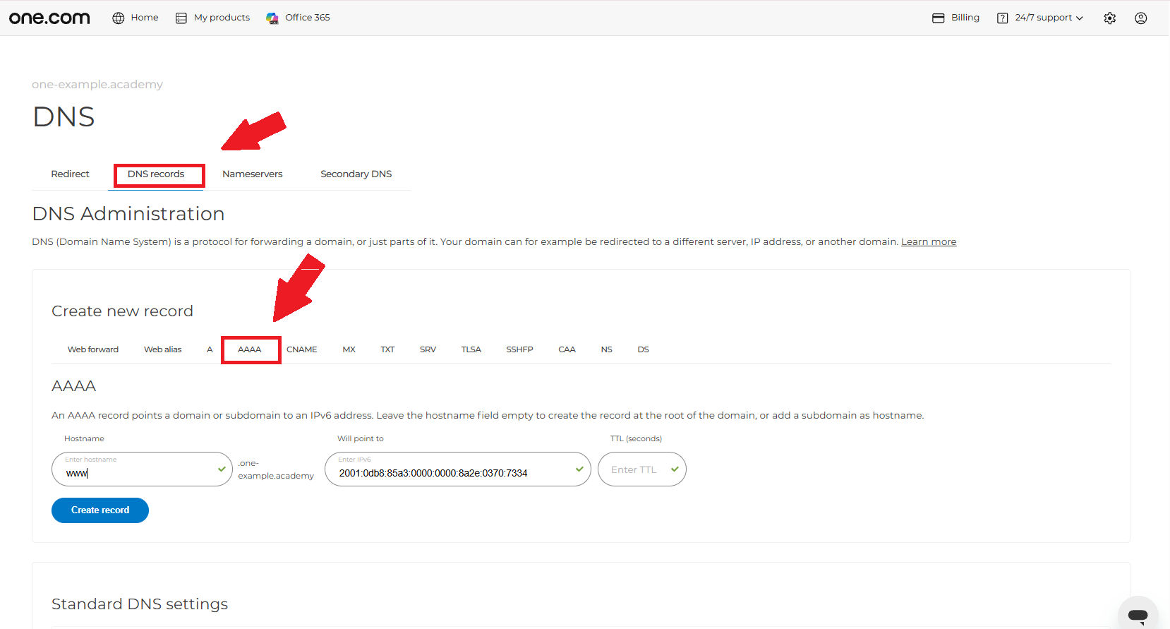 DNS settings AAA.png