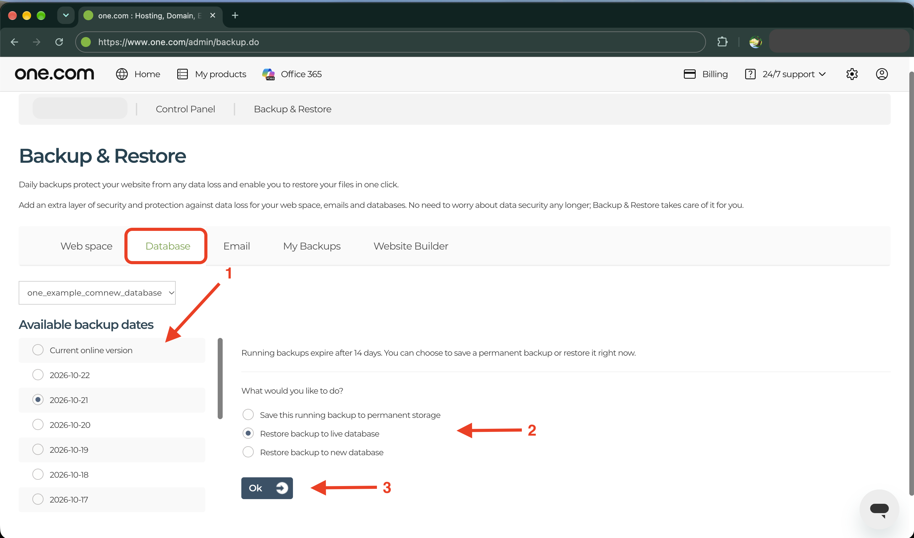 Database backup and restore