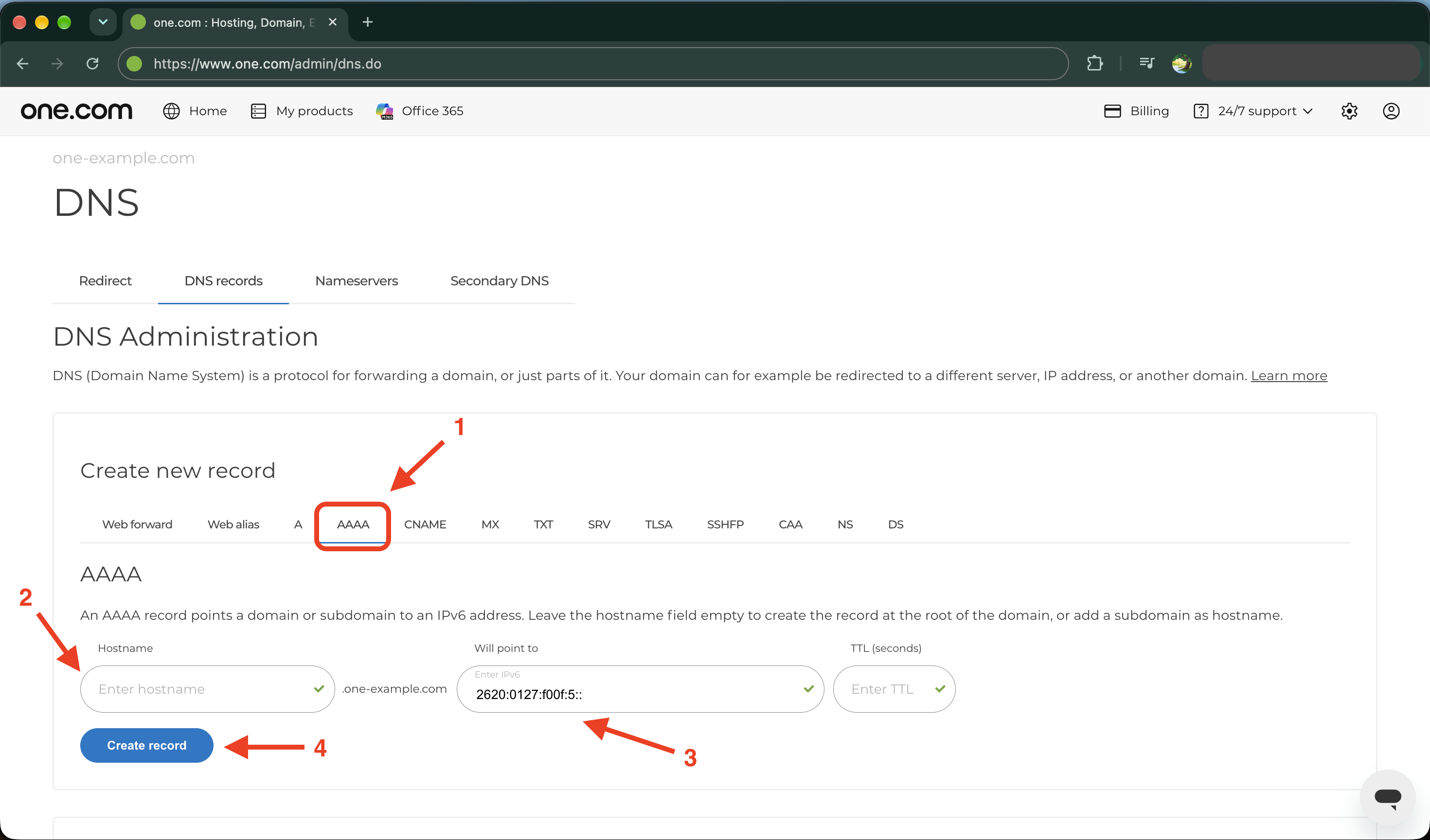 Create AAAA record in Control Panel