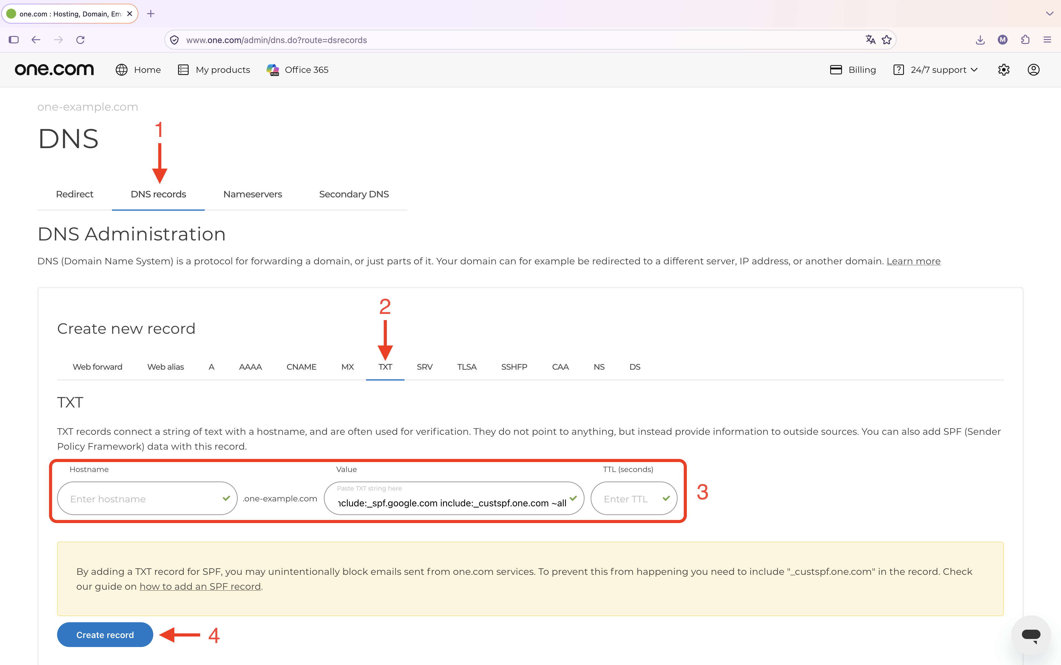 DNS - TXT example.png
